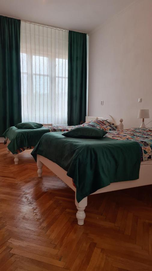 Stradela Cetatii Apartment Segesvár Kültér fotó
