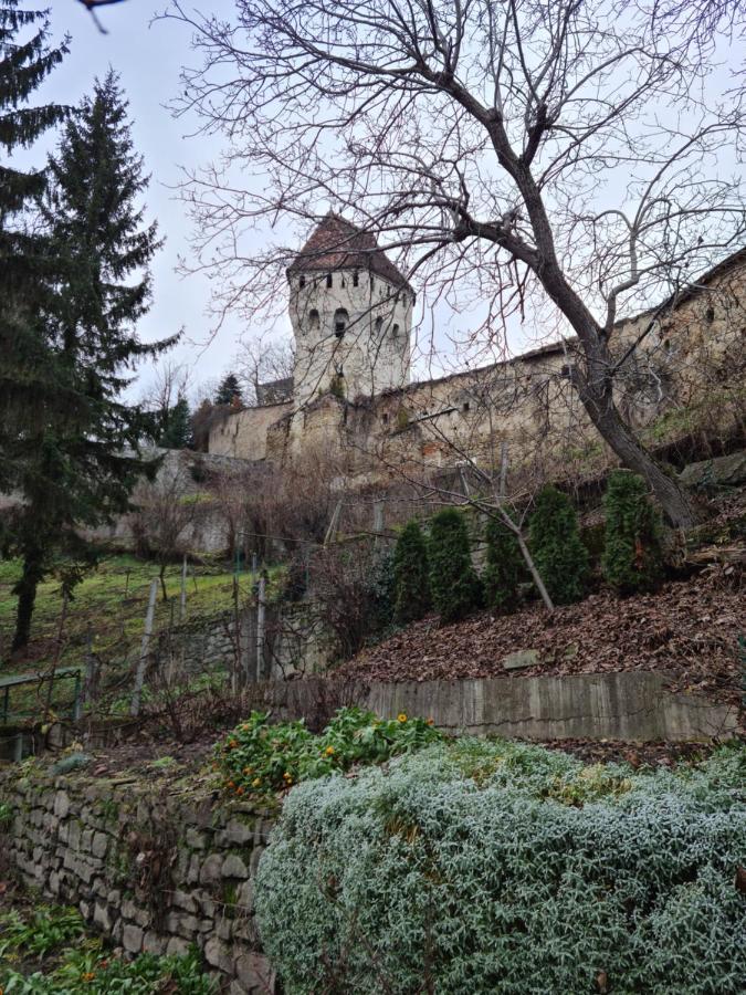 Stradela Cetatii Apartment Segesvár Kültér fotó